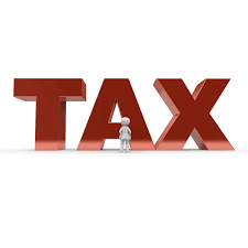 Provisional tax return